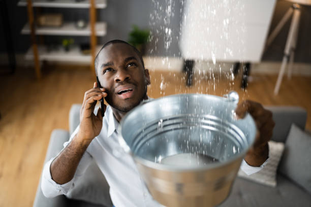 Best Residential water damage restoration  in Pea Ridge, AR