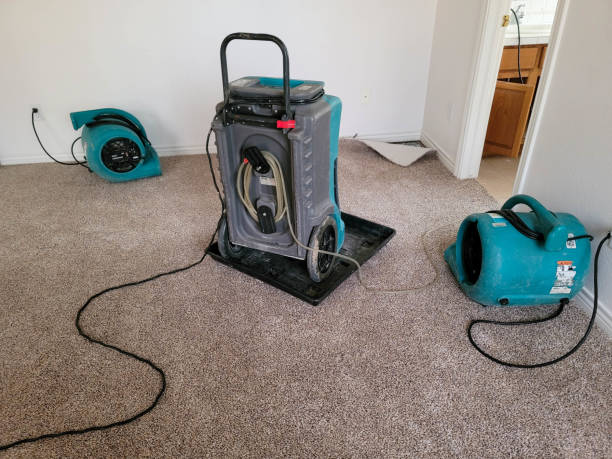 Water damage restoration process in AR