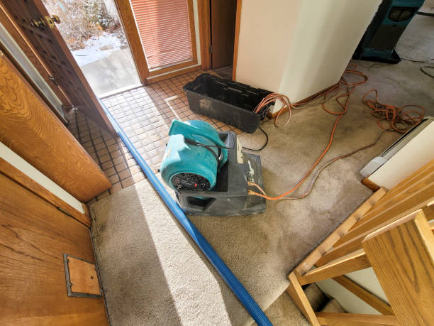 Best Professional water damage repair  in Pea Ridge, AR