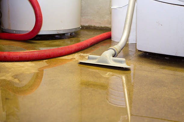 Best Commercial water damage restoration  in Pea Ridge, AR