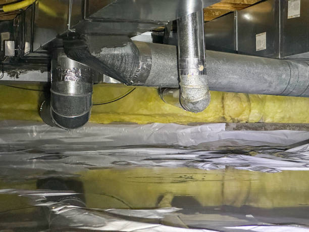 Best Sewage cleanup and water damage restoration  in Pea Ridge, AR