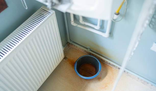 Best Water damage contractors near me  in Pea Ridge, AR