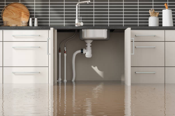 Best Water damage restoration near me  in Pea Ridge, AR